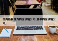 国内最有潜力的区块链公司[最牛的区块链公司]